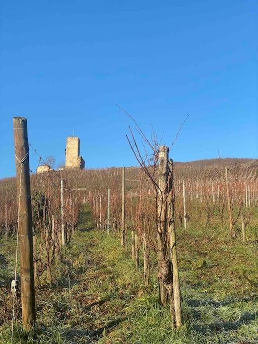شقة Le Cocon Du «Katzelberg» A 10Mn De Colmar Katzenthal المظهر الخارجي الصورة